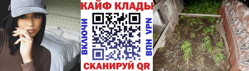 Названия наркотиков Азнакаево Alpha PVP COCAIN Меф МАРИХУАНА Гашиш