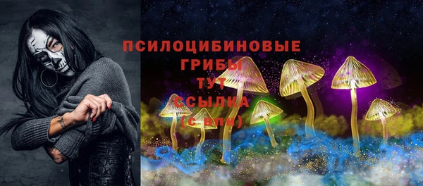 герыч Алексин